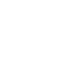 Saumon